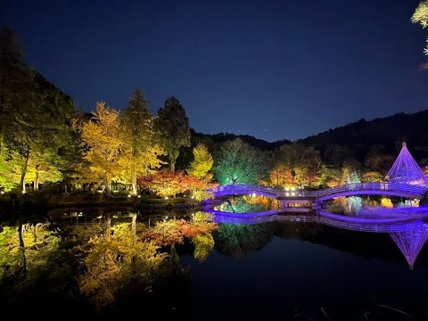 紅葉ライトアップ／町田薬師池公園四季彩の杜 薬師池