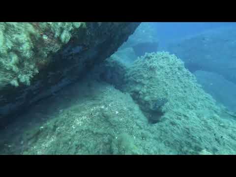 Immersione all’Isola di Serpentara (Villasimius - Sardegna) 23.7.24