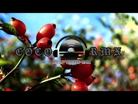 SEAN-RII x DJ YELZ X DJ KANGRY __™__NEVER REGRET [ zouk Remix 2k22