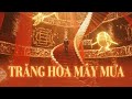 Donald Gold - Trăng Hoa Mây Mưa