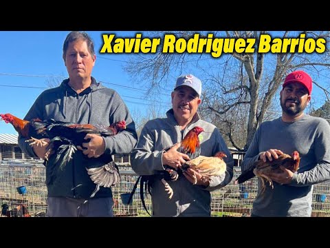 Sweater Asil Tennessee Xavier Rodriguez Farm