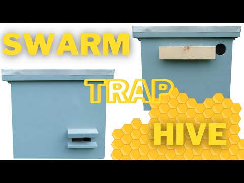 Swarm trap / bait hive FOR FREE BEES | BEEKEEPING