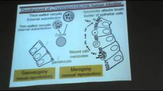 Dr Azza   Protozoa 4   Intestinal sporozoa   YouTube