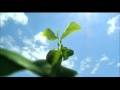 Teh Pucuk Harum TVC