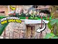 MonteZOOMa NEW TEST LAUNCH Scary Farm Progress Ghost Town Alive Knott S Berry Farm 2026
