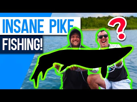 Two HUGE PB PIKE!!! CRAZIEST Pike Fishing Trip EVER!