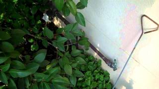 Pacific West Home Inspection 12 11 2011 How to turn off Gas-