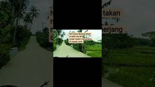 Download lagu menuju  impian yang indah #music #coversong #songlyrics #lyrics  @aristtarizzta2306 mp3 Download lagu menuju  impian yang indah #music #coversong #songlyrics #lyrics  @aristtarizzta2306 mp3