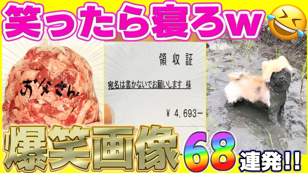 【総集編】爆笑必至のおもしろ画像から、思わず声が出る絶望の瞬間まで！盛り沢山の68連発！