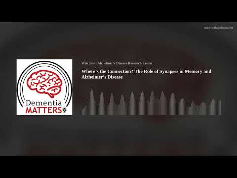 Where’s The Connection? The Role Of Synapses In Memory And Alzheimer’s Disease