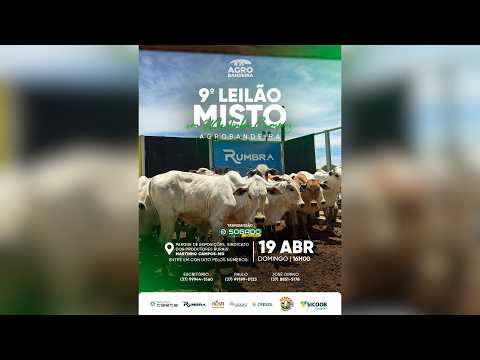 9º LEILÃO AGRO BANDEIRA E SINDICATO DE MARTINHO CAMPOS/MG - 19/04/2026