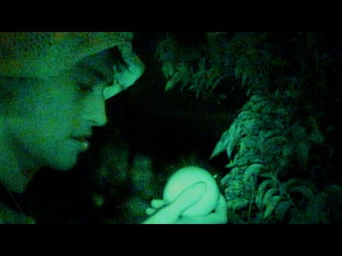 Video thumbnail for Where Did My Apple Fall?