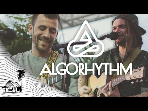Algorhythm - Sugarshack Pop-Up (Live Music) | Sugarshack Sessions