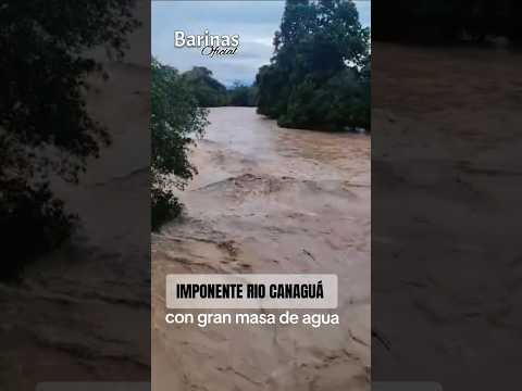 CRECIDA: En el río Canaguá de Pedraza, una gran masa de agua pasaba debajo del puente/#7Abr/Barinas