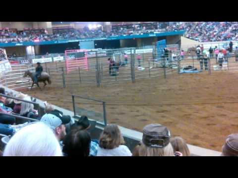 Clinton Anderson Road to the Horse 2016