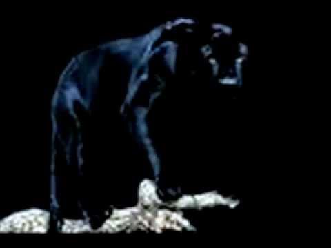 Silencieux illegal'sen  freestyle