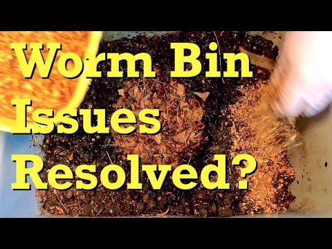 Improvement in problematic red wiggler systems - worm farm vermicomposting