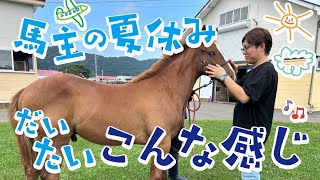 馬主の夏休み！所有馬ニジイロノコマ25とクリスプ25を紹介