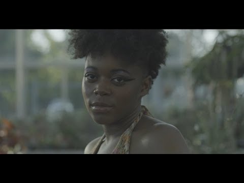 Grass Stains/ Just Begun (Hollywood) - BluMoon Official Music Video