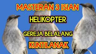 Download lagu Masteran kombok #helikopter #gerejagacor #belalang #kuntilanak #masteranburunglomba #burungjuara mp3 Download lagu Masteran kombok #helikopter #gerejagacor #belalang #kuntilanak #masteranburunglomba #burungjuara mp3