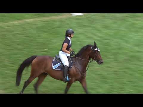 Starší junioři parkur - Kompletní video záznamy z MČR ve všestrannosti 2018