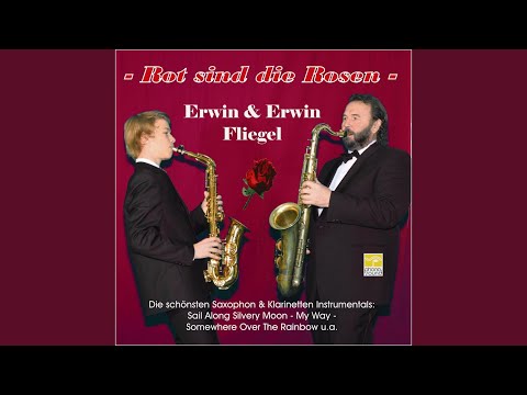 Immer wieder denk ich nur an dich