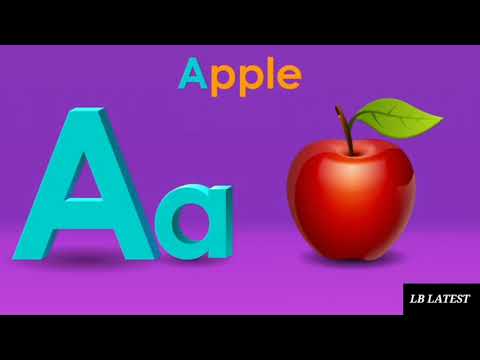 Putula A4 Apple B4 Boll