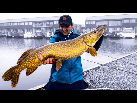 ADVENTURE FISHING UK Hooks Me Up With BIG PIKE! (4K)