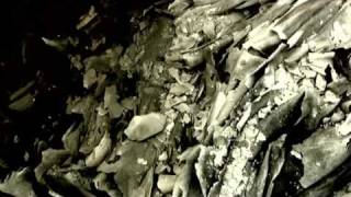 Bible Black - Fan-Made "Heaven and Hell" Music Video