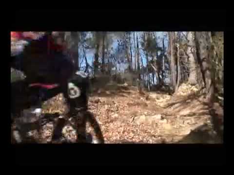 Fabien Barel Downhill