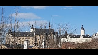 🌈 Bärenausflug am 18.03.23 🧸 Altenburg Spielkartenmuseum 🏳️‍🌈