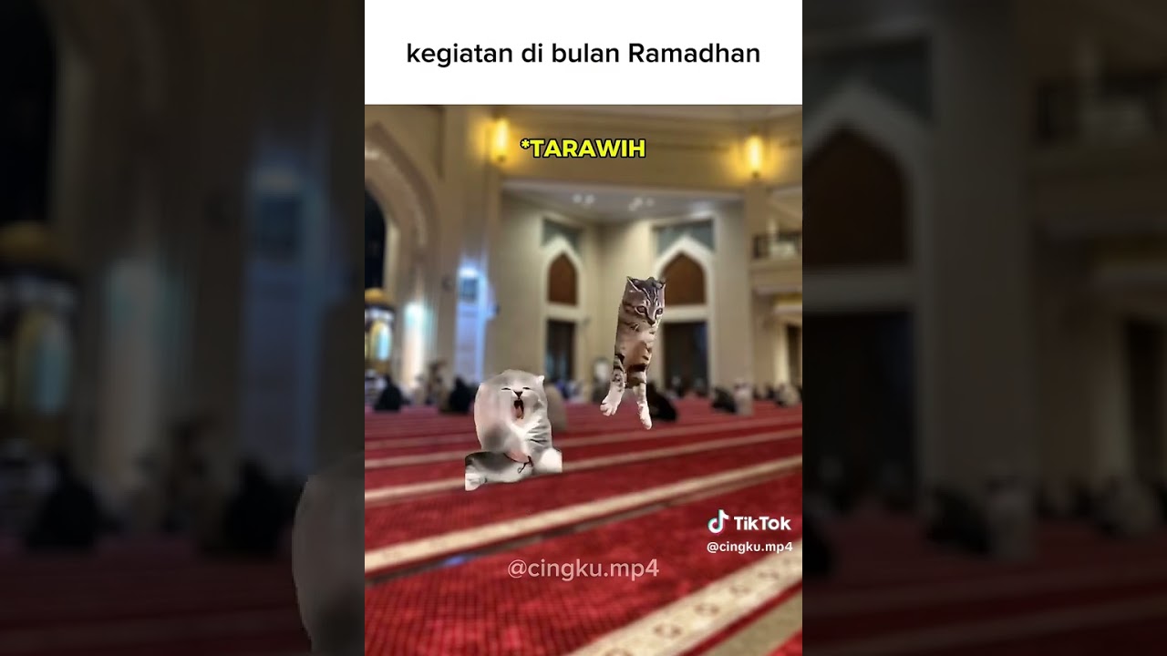 cr:tiktok, peringatan!ini bukan aku yg bikin