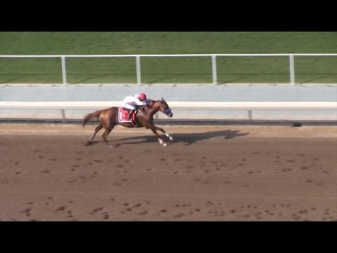 Collected wins Californian Stakes at Santa Anita