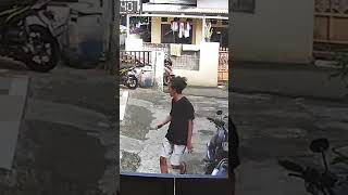 Download lagu SAPI NGAMUK || IDUL ADHA CORE #sapi #qurban #iduladha #video #videolucu #viralvideo #viralshorts #1k mp3