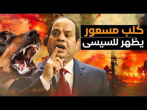 إسرائيل تبدأ عملية العجلات المشتعلة وكلب يظهر للرئيس وظهور الدجال وإنقلاب في الإمارات والسعودية !!