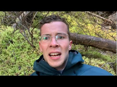 I Actually Found the Meaning of Life