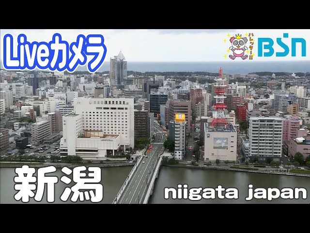 BSN新潟放送公式チャンネル のライブ配信