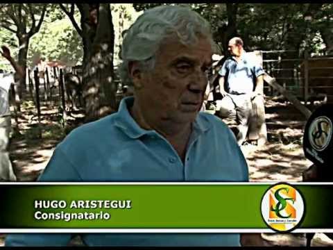 Nota Hugo Aristegui en Cachari - obsequio Cagnoli.wmv