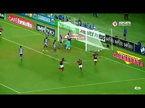 FL4M3NG0 3x0 B0T4F0G0 - T4Ç4 R10 2020