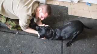 preview picture of video 'Ebony at Babworth Animal Rescue Kennels, first day. 08/10/2014'