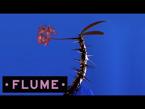 Video Hyperreal (Audio) de Flume 