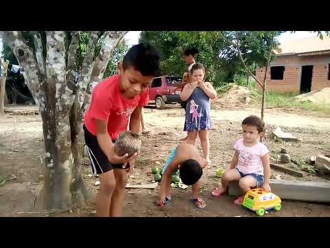 02 de Abril de 2017 - Cacaulândia/RO