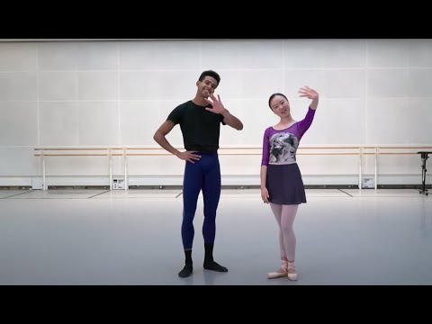 #WorldBalletDay 2020 challenge: Send us your pirouettes!