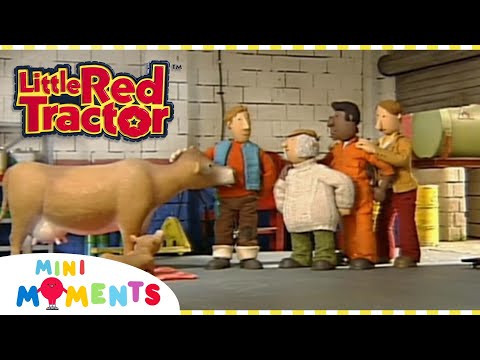 Little Red Tractor and the Baby Cow ???? | Little Red Tractor | Full Episodes | Mini Moments