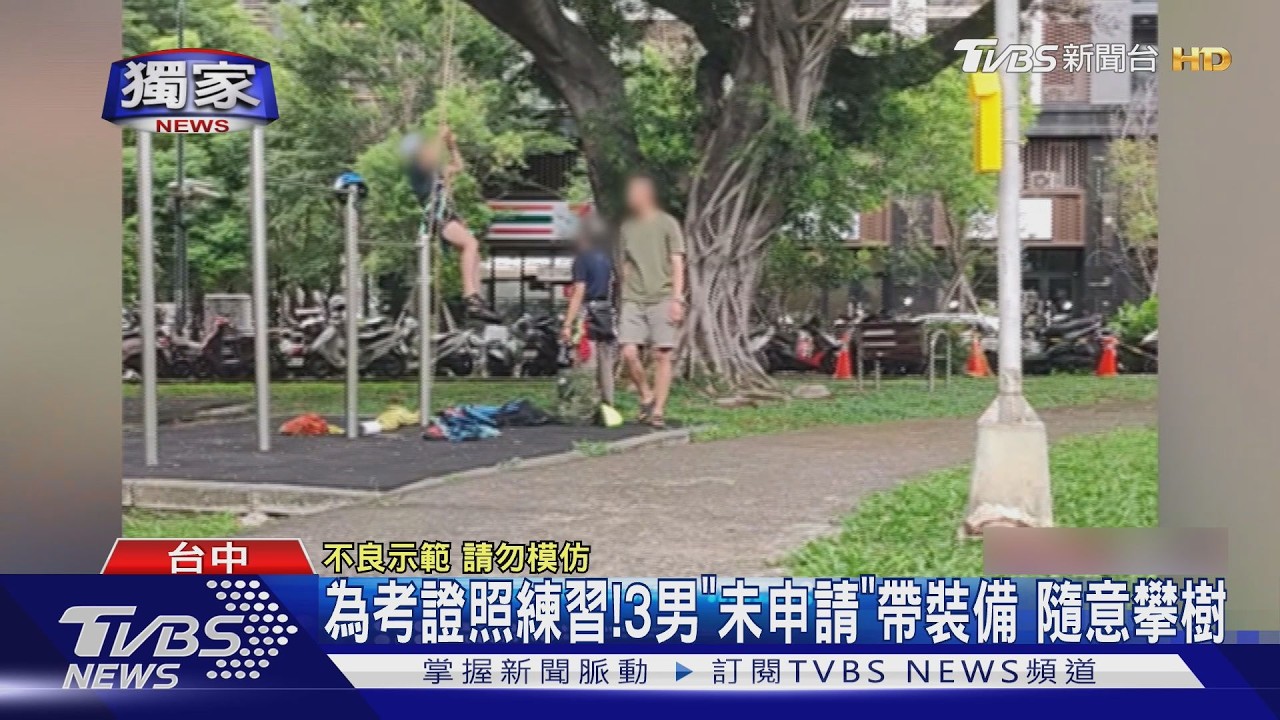 獨家/頭盔吊帶齊全懸掛樹上!3男稱備考攀樹師 無視禁令恐罰3千
