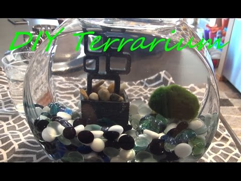 DIY Marimo Moss Ball Terrarium! FISHBOWL UPCYCLE