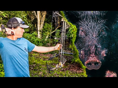 WILD Hawaiian HOG HUNT {CATCH CLEAN COOK}