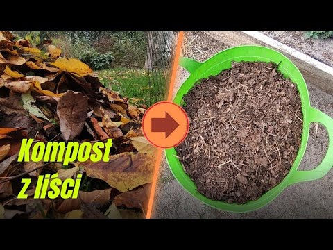 Jak zrobić kompost z liści