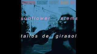Deafheaven - Honeycomb | Subtitulado Español | Lyric Video | Lyrics on screen | sub