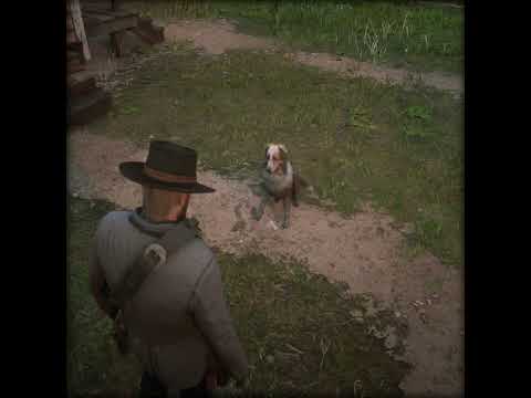 Steam Community :: Video :: YOU'RE ALRIGHT, BOAH || RDR2 Doggy :)
